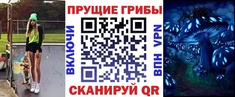 Псилоцибиновые грибы Psilocybe дарнет шоп omg tor Вышний Волочёк